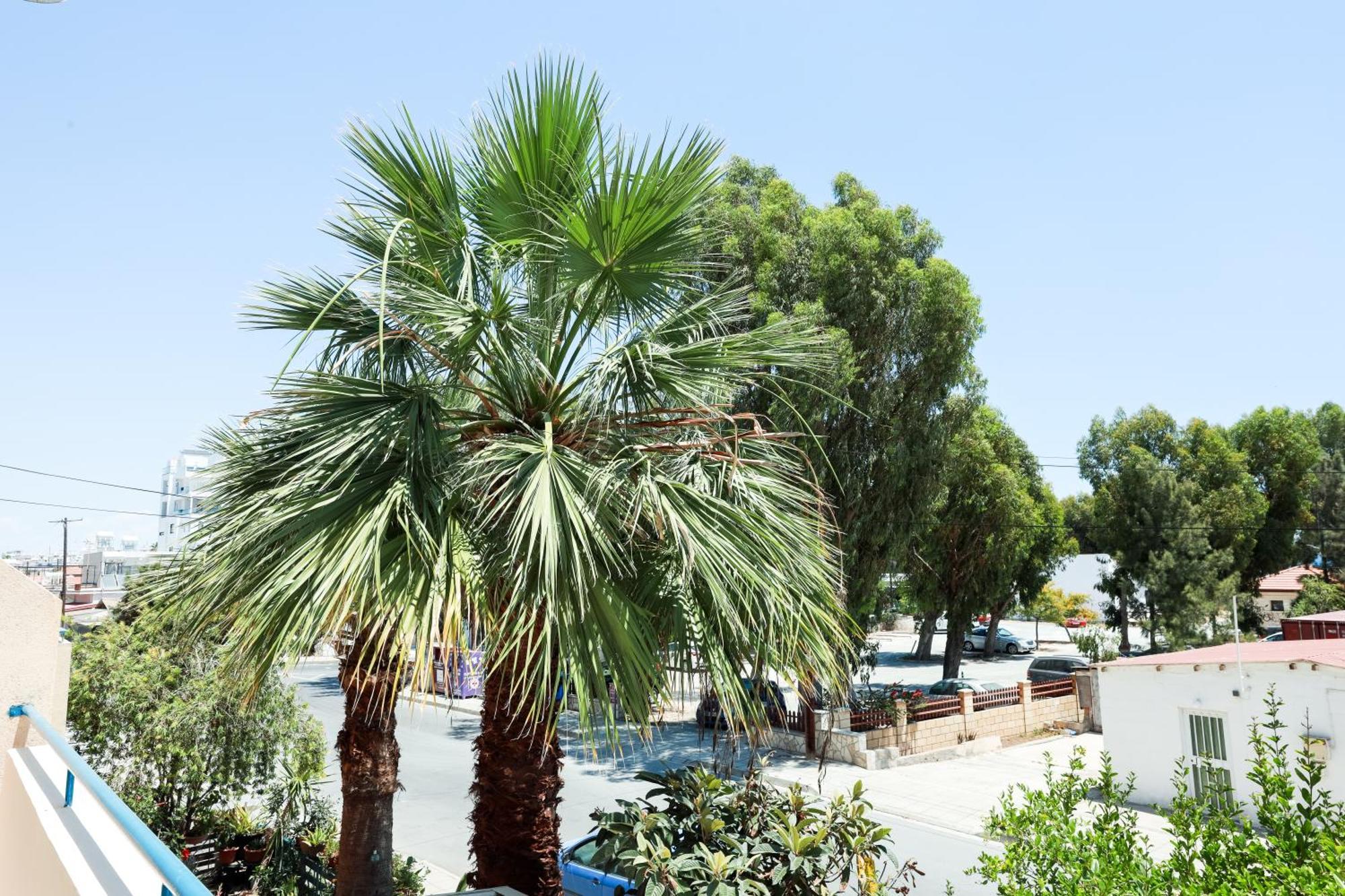 Mackenzie Apartment 101 Larnaca Exterior foto